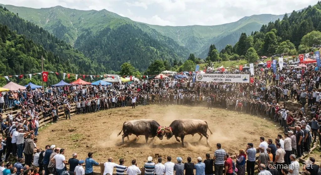 Geleneksel Kafkasör Boğa Güreşleri Festivali — Artvin
