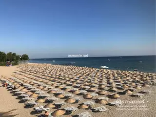 شاطئ فلوريا المشمس