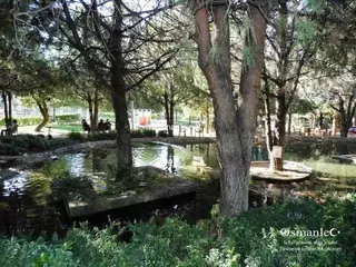 حديقة يونس إمري