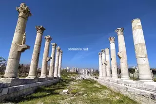 سولين - مدينة بومبيوبوليس القديمة