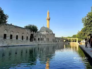 قبر الشيخ علي ديدي (الشيخ الشاذلي)
