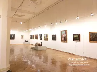 متحف أدجارا الحكومي للفنون