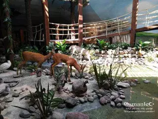 متحف الطبيعة والحياة للحيوانات