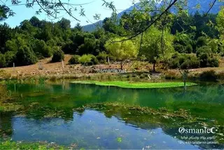 بحيرة عثمان