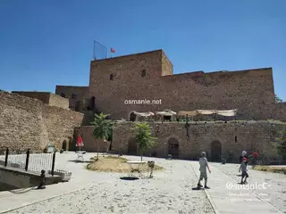 قلعة نيغده