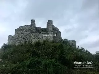 قلعة جيها