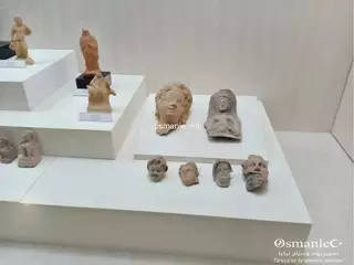 متحف الآثار سينوب
