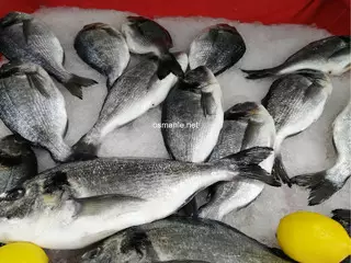 مطعم توانا للأسماك - 2