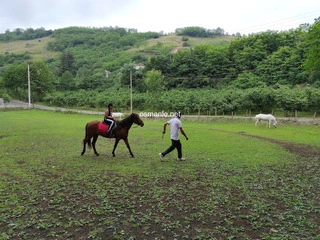 حديقة الخيول متنزه جولكير